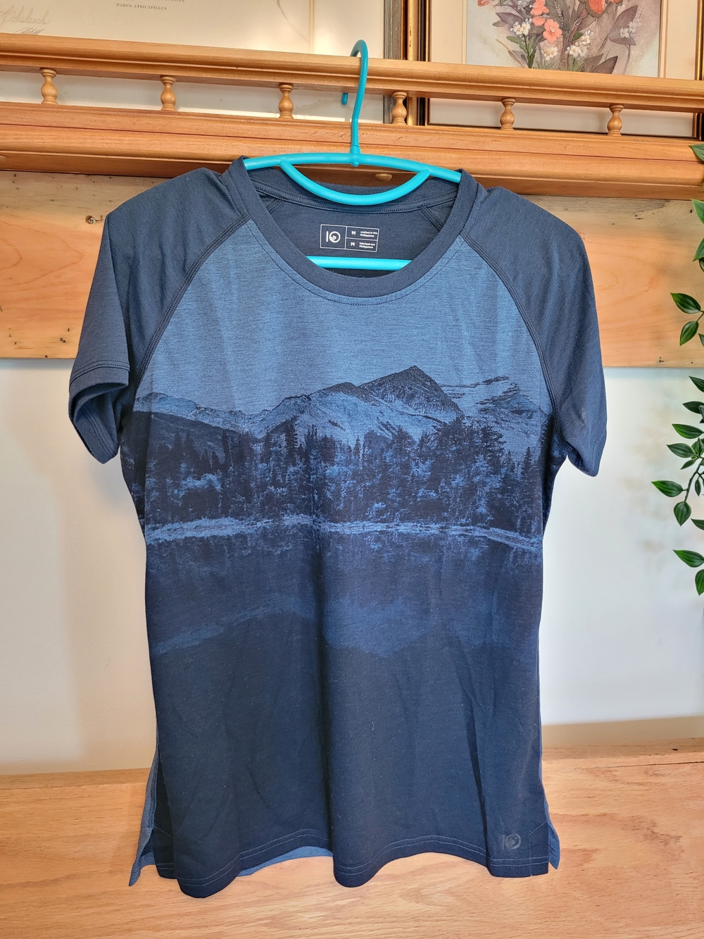 Tentree Blue Mountain Graphic Short-Sleeve Shirt